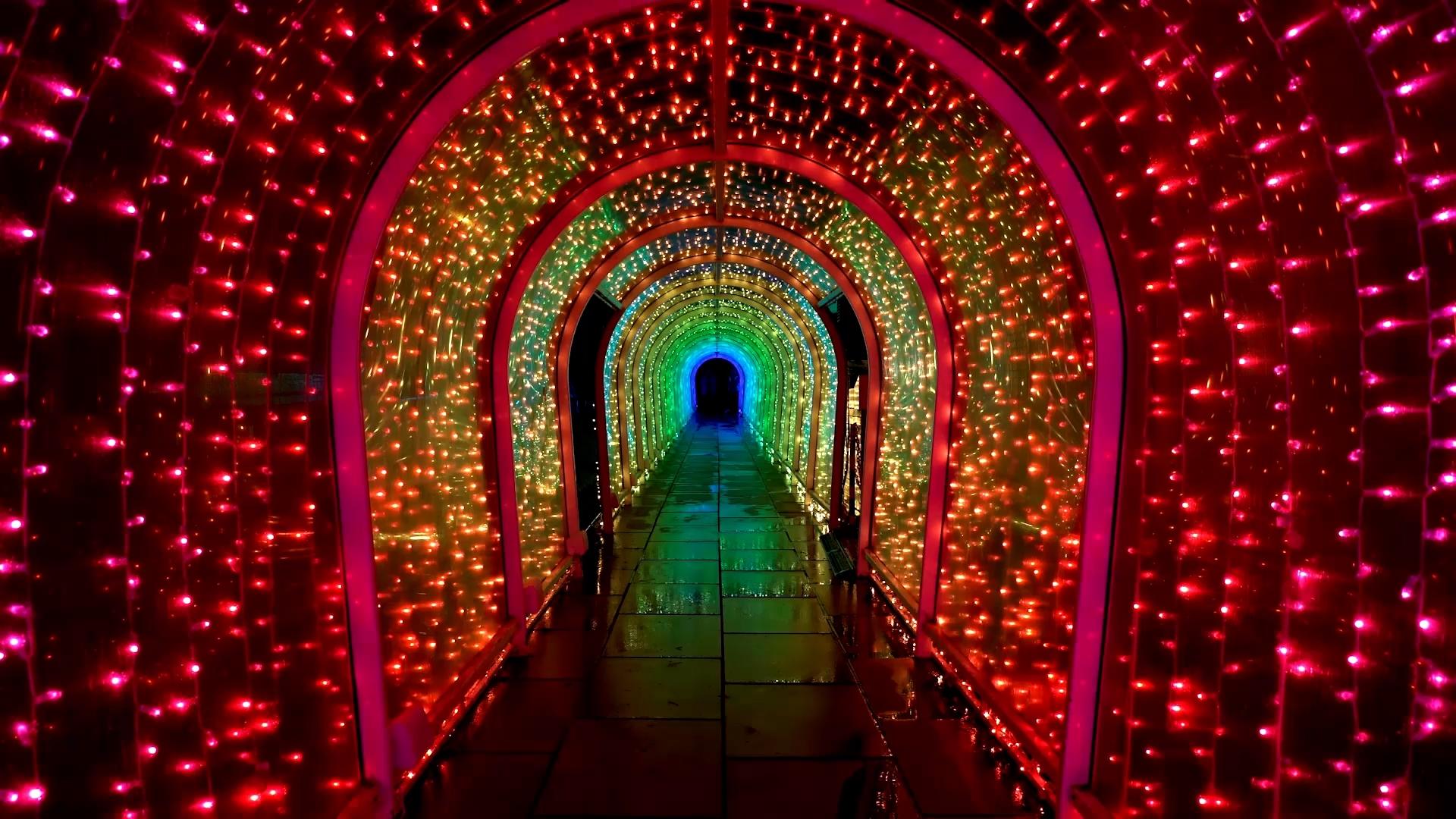 Bude Tunnel Experience