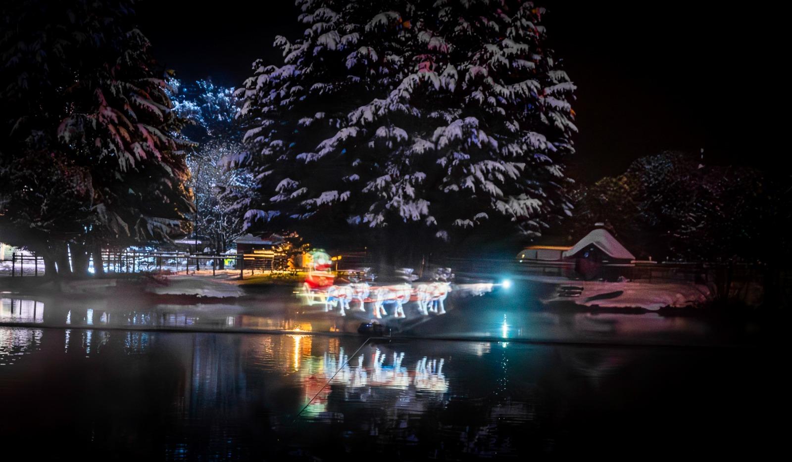 Reindeer Lodge Light Trail