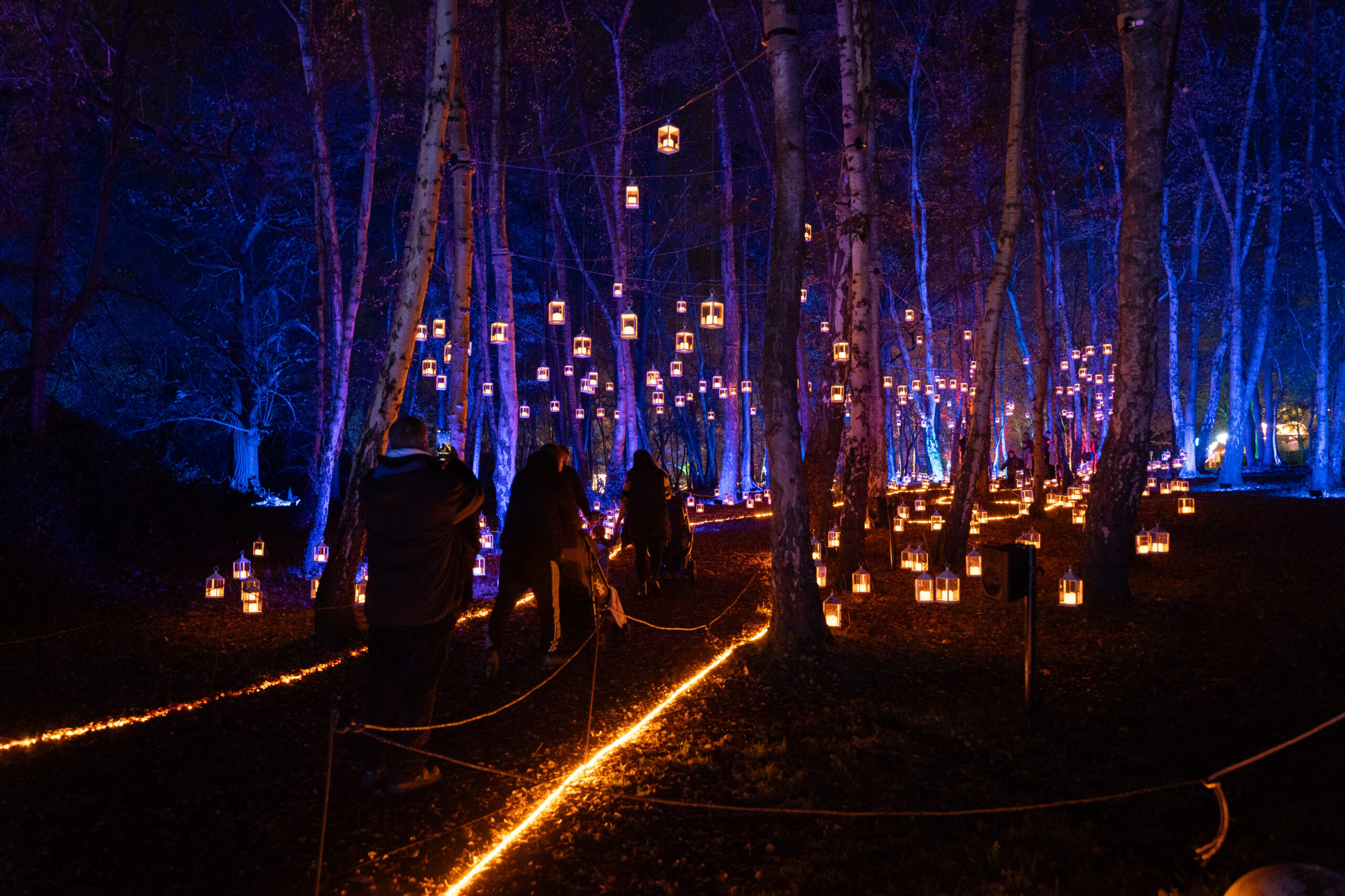 Windsor Great Park Illuminated 2025